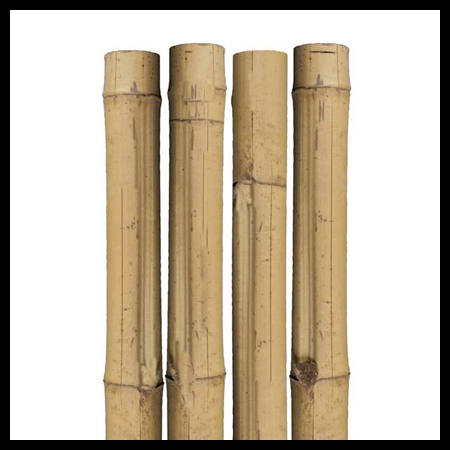 Tuteurs de bambou