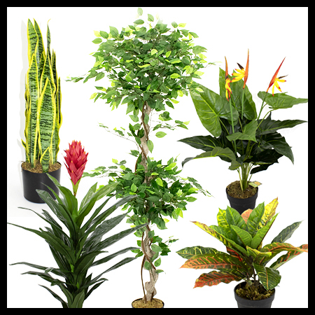 Artifical plants